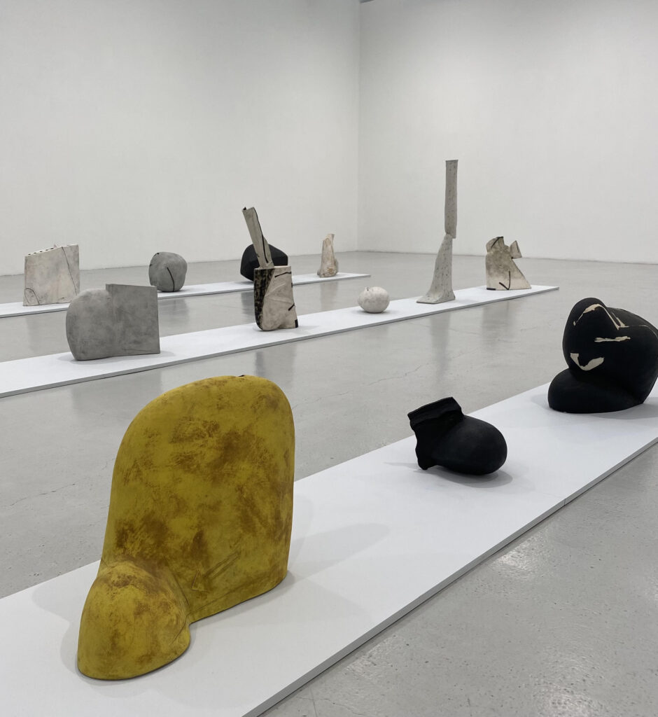 Gordon Baldwin at Corvi Mora 2021